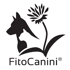 fitocanini