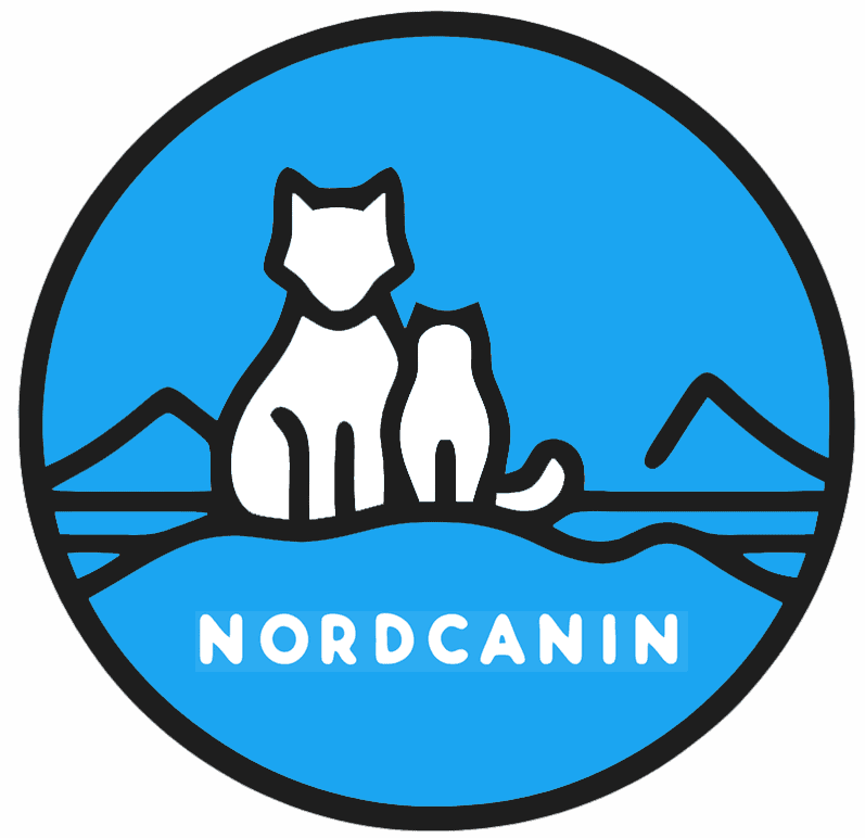 nordcanin_ring_logo