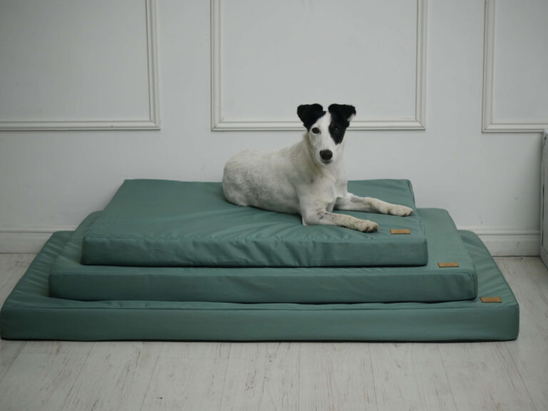 Ortopédiai Memóriahabos Kutyafekhely