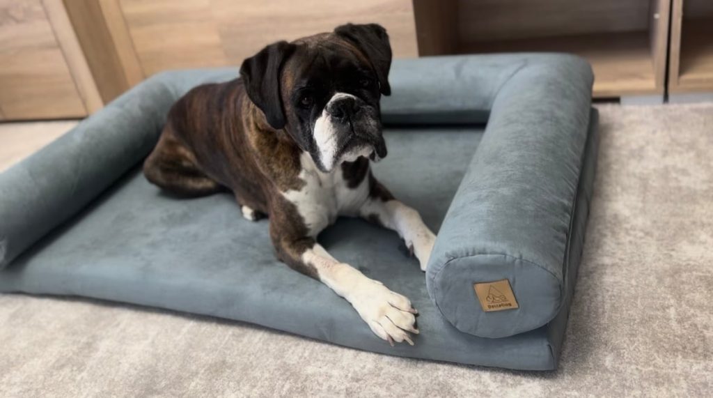 Memóriahabos kutyafekhely