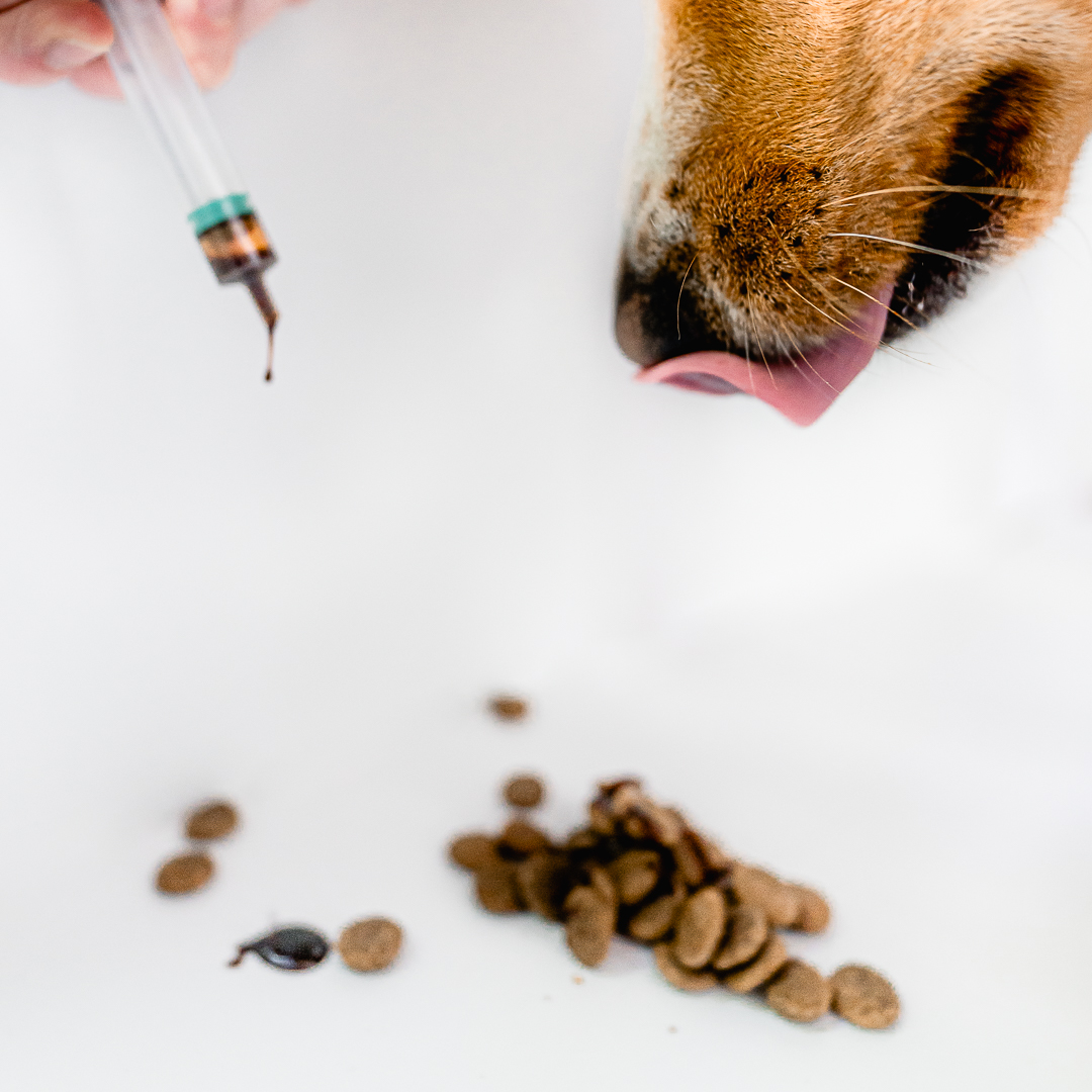 Vitaltier Sport & Activity - Image 4