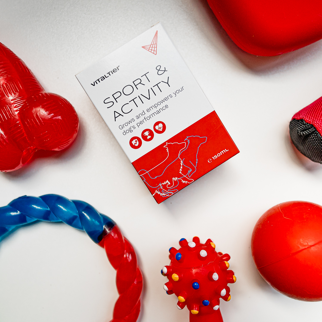 Vitaltier Sport & Activity - Image 3