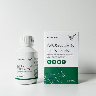 Vitaltier Muscle & Tendon