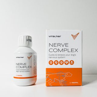 Vitaltier Nerve Complex