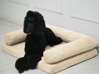 DeltaDog Soft Prémium Ortopédiai Kutyafekhely - Bézs