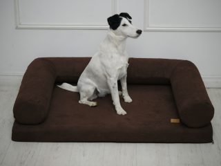 DeltaDog Soft Prémium Ortopédiai Kutyafekhely - Csokibarna