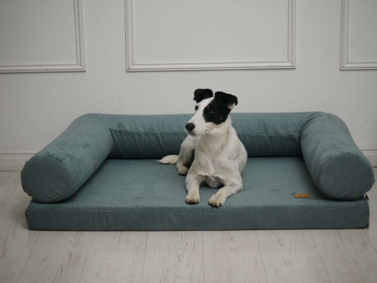 Mikor éri meg ortopéd kutyafekhelyet venni?Így válassz a DeltaDog Clean és Soft változatokközül