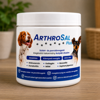 ArthroSal Plus 250g