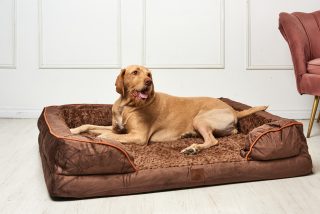 DeltaDog  Cozy ortopédiai kutyafekhely - Csoki Barna