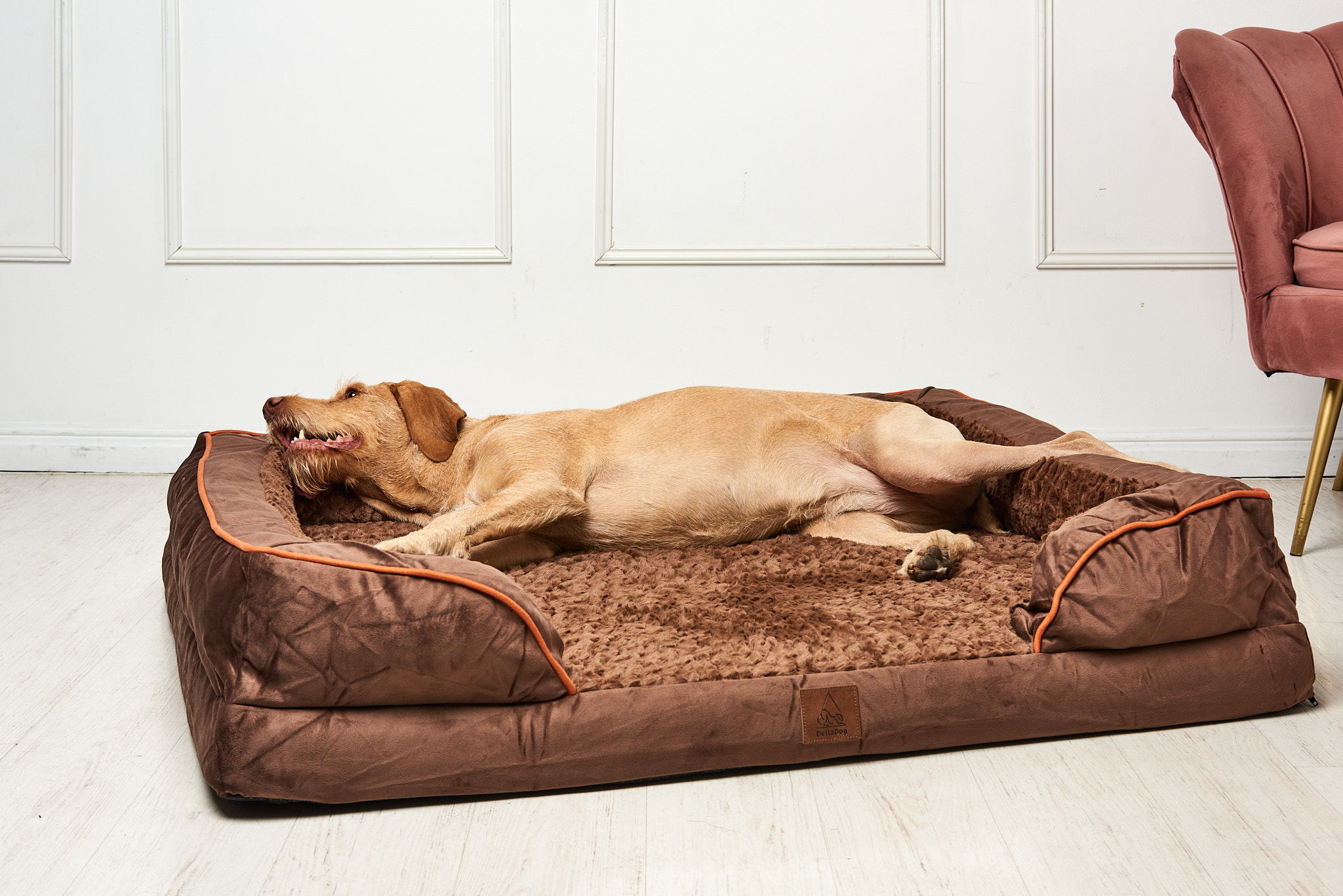 DeltaDog Cozy ortopédiai kutyafekhely - Csoki Barna - Image 3