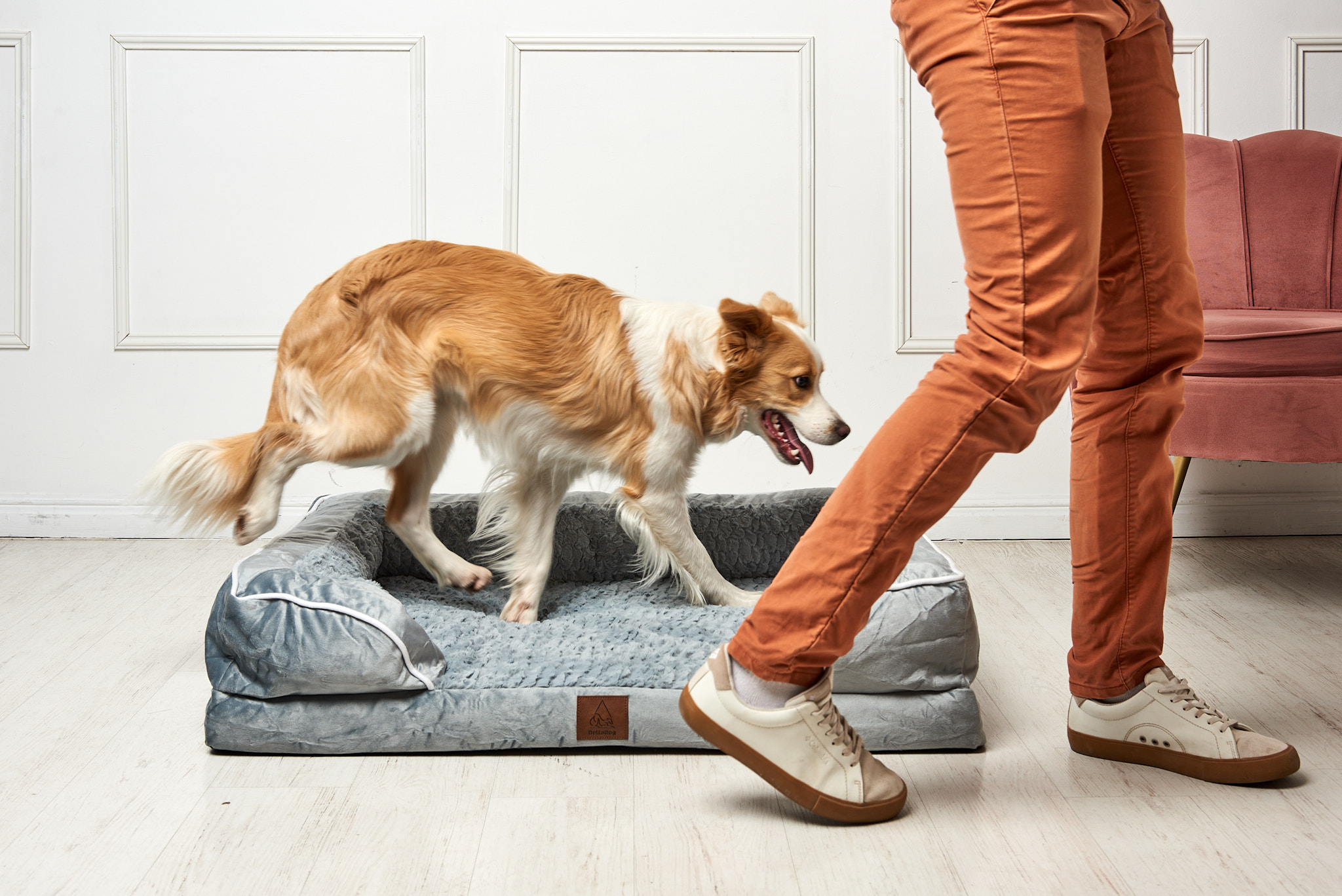 DeltaDog Cozy ortopédiai kutyafekhely - Füstös Jégkék - Image 5