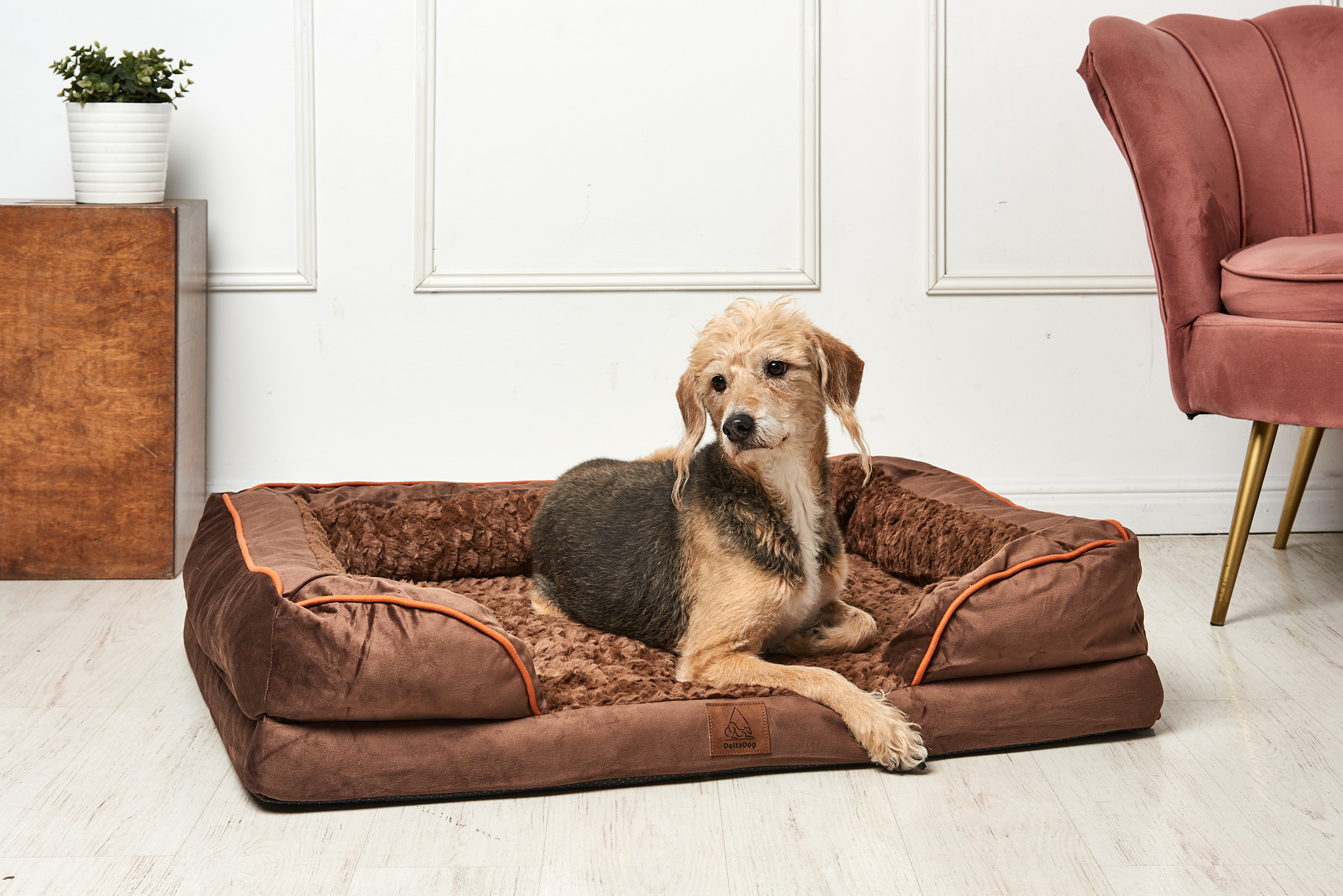 DeltaDog Cozy ortopédiai kutyafekhely - Csoki Barna - Image 4