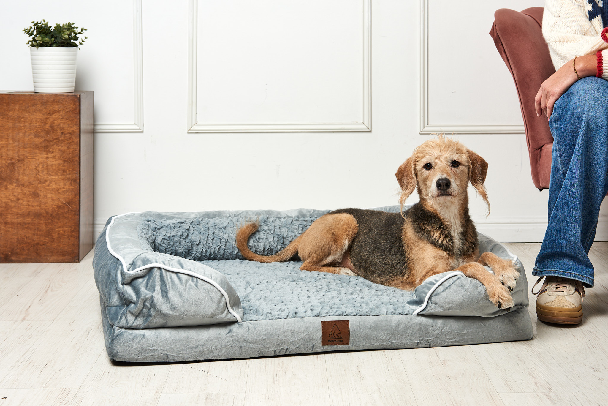 DeltaDog Cozy ortopédiai kutyafekhely - Füstös Jégkék - Image 4